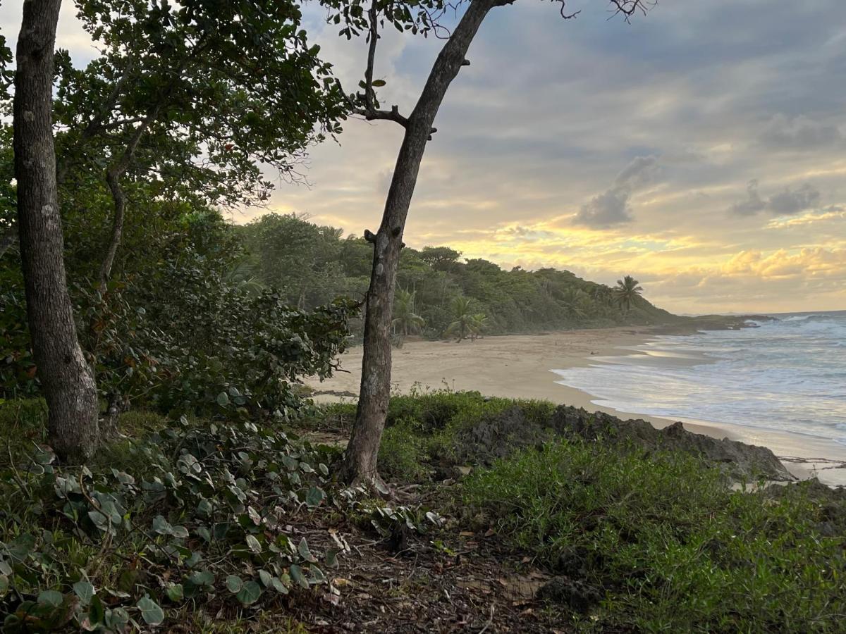 Beach Cabarete Ecolodge De Luxe Maravilla Encuentro Surf, Kite Extérieur photo